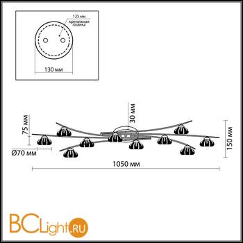 Спот (точечный светильник) Odeon Light Kinston 2465/10C - Схема