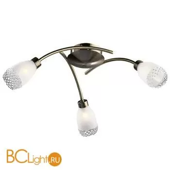 Потолочная люстра Odeon Light Lerta 1803/3C