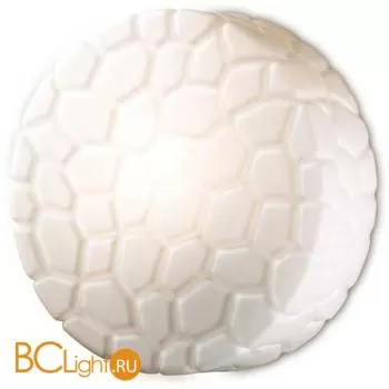 Настенно-потолочный светильник Odeon Light Luno 2246/2A