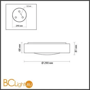 Настенный светильник Odeon Light Lunor 4948/30CL - Фото 1