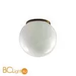 Потолочный светильник Odeon Light MAGIA 7109/1CA