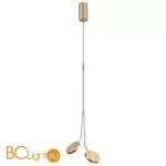 Подвесной светильник Odeon Light Maro 5011/16L