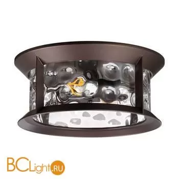 Уличный потолочный светильник Odeon Light Mavret 4961/2C