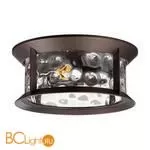 Уличный потолочный светильник Odeon Light Mavret 4961/2C