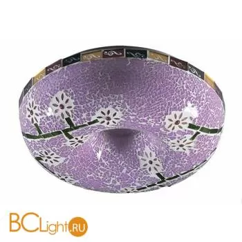 Потолочный светильник Odeon Light Mone 2115/2C