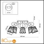 Потолочная люстра Odeon Light Montala 2886/5C - Схема