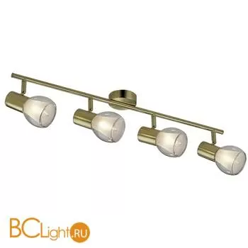 Cпот (точечный светильник) Odeon Light Moss 2176/4W