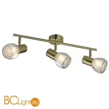 Cпот (точечный светильник) Odeon Light Moss 2176/3W