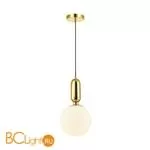 Подвесной светильник Odeon Light Okia 4669/1 - Фото 0