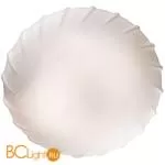Настенно-потолочный светильник Odeon Light Opal 2247/1C