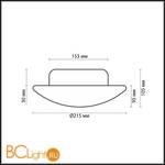 Настенно-потолочный светильник Odeon Light Opal 2247/1C - Схема