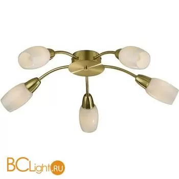 Потолочная люстра Odeon Light Otta 2067/5C