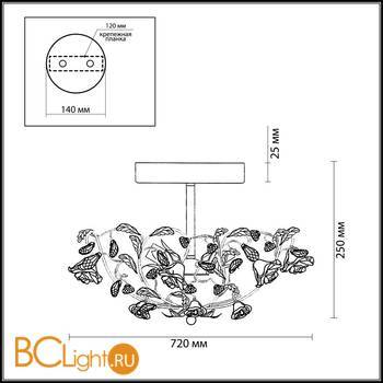 Потолочный светильник Odeon Light Oxonia 2585/5 - Схема