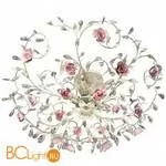 Потолочный светильник Odeon Light Oxonia 2585/5