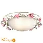 Потолочный светильник Odeon Light Oxonia 2585/3