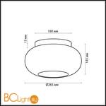Потолочный светильник Odeon Light Pati 2205/2C - Схема
