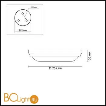 Настенный светильник Odeon Light Pelow 4956/2 - Фото 1