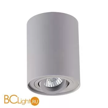 Потолочный светильник Odeon Light Pillaron 3831/1C