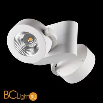 Спот (точечный светильник) Odeon Light Pumavi 3493/20CL