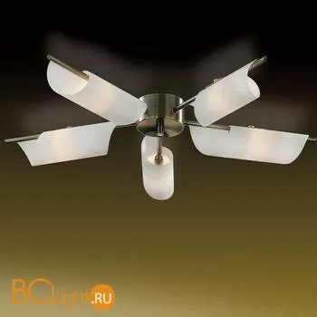 Потолочная люстра Odeon Light Ray 2015/5C