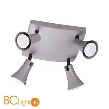 Потолочный светильник Odeon Light Reanna 3825/4C