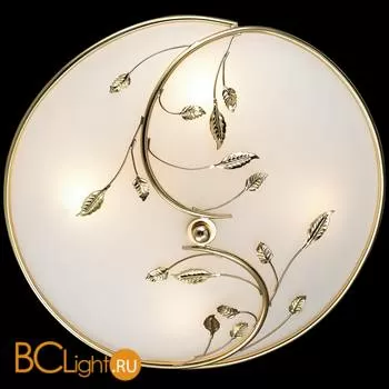 Настенно-потолочный светильник Odeon Light Regana 2728/4C