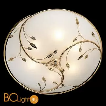 Настенно-потолочный светильник Odeon Light Regana 2728/6C