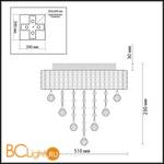 Потолочный светильник Odeon Light Rina 2729/9C - Схема