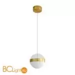 Подвесной светильник Odeon Light RONI 5036/12L