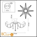 Потолочный светильник Odeon Light Salgera 2912/8C - Схема