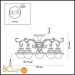 Потолочная люстра Odeon Light Sandrina 3249/5C - Схема