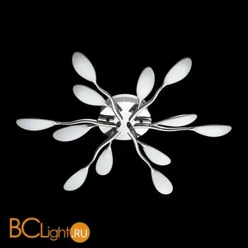 Потолочный светильник Odeon Light Scoppa 3994/50CL