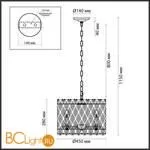 Подвесной светильник Odeon Light Selva 4796/8 - Фото 1