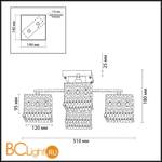 Потолочная люстра Odeon Light Sesam 2835/4C - Схема