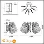 Настенный светильник Odeon Light SIAMA new 5089/25WL - Фото 1