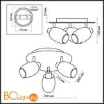 Потолочная люстра Odeon Light Sinco 2069/3C - Схема