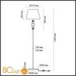 Торшер Odeon Light Sochi 4896/1F - Фото 1