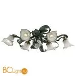 Потолочная люстра Odeon Light Tale 2052/6C