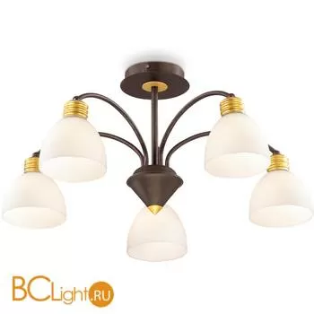 Потолочная люстра Odeon Light Tanais 2624/5C