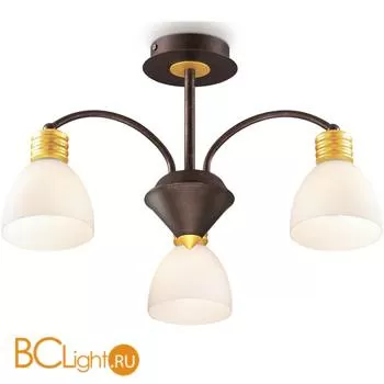 Потолочная люстра Odeon Light Tanais 2624/3C