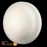 Потолочный светильник Odeon Light Tavoty 2760/1C