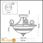 Потолочный светильник Odeon Light Teatro 2573/2C - Схема