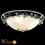 Потолочный светильник Odeon Light Tender 2796/3C