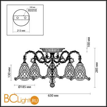 Потолочная люстра Odeon Light Tenera 2885/5C - Схема