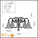 Потолочная люстра Odeon Light Tenera 2885/5C - Схема