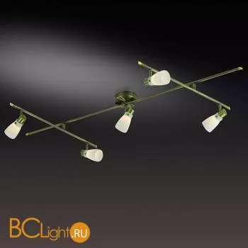 Потолочный светильник Odeon Light Terza 2065/5C