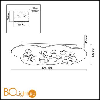 Потолочный светильник Odeon Light Treli 2441/4C - Схема
