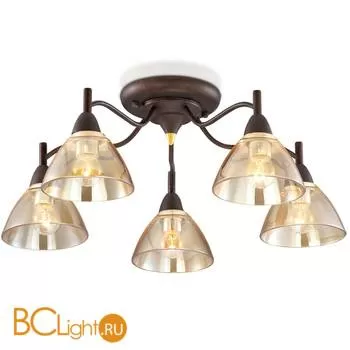 Потолочная люстра Odeon Light Treves 2625/5C