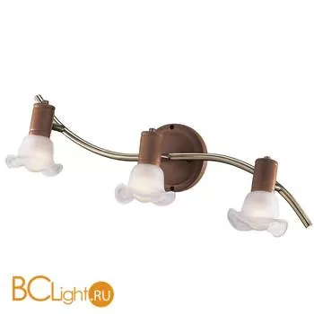 Cпот (точечный светильник) Odeon Light Trum 1967/3W