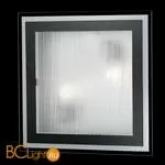 Настенно-потолочный светильник Odeon Light Ulen 2736/2W